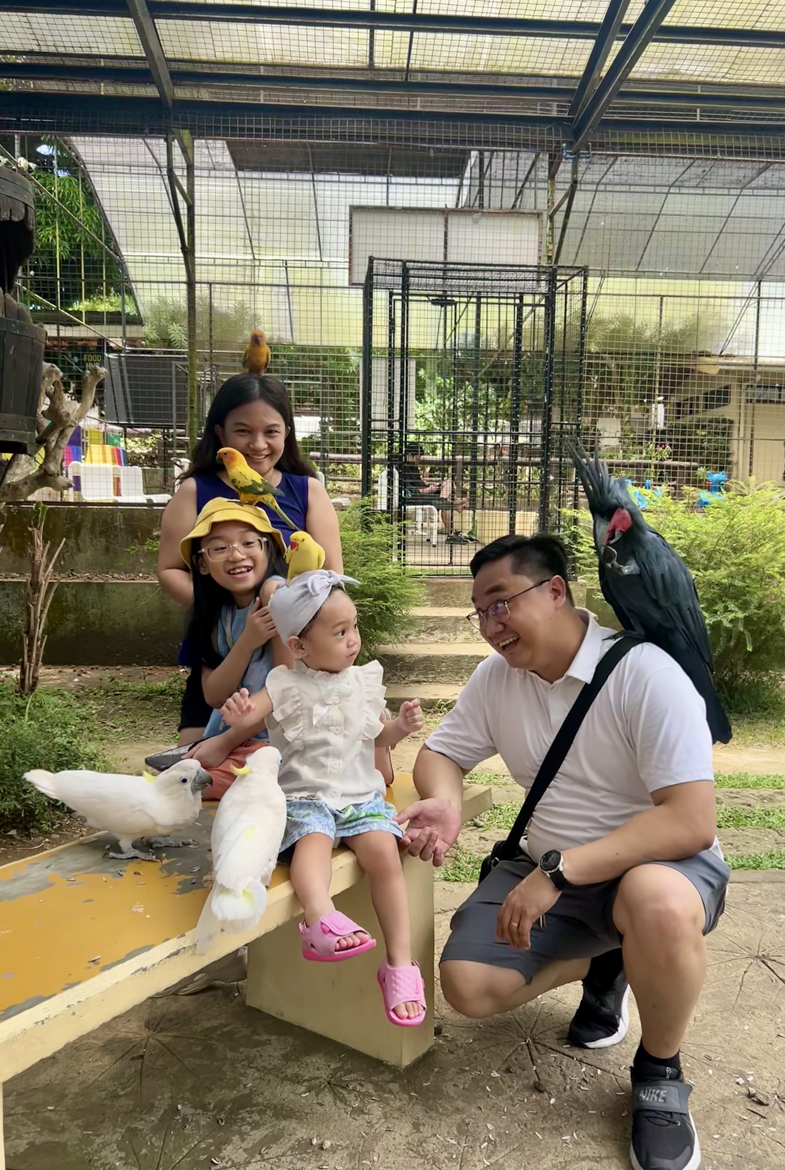 Discover Yoki's Farm: A Fun Family Adventure in Cavite